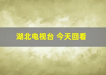 湖北电视台 今天回看